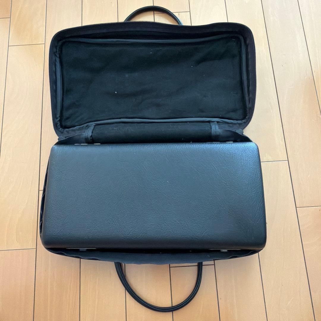 クラリネット本体 ケース・備品（リード、スワブ）付き