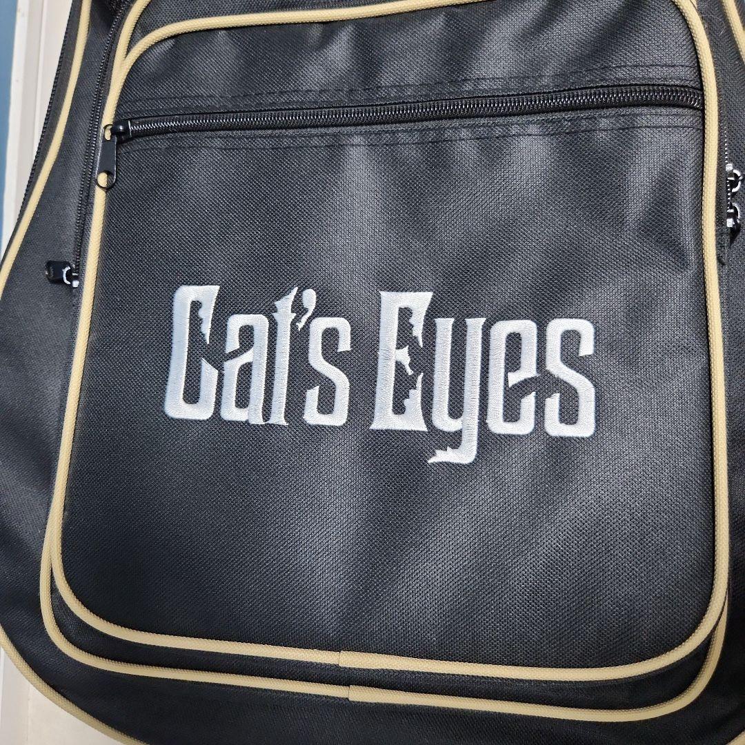 【未使用品】 キャッツアイ アコースティック・ギター カバー付き