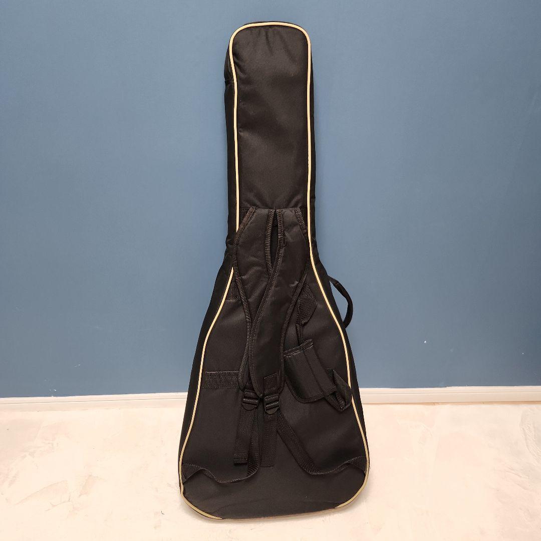 【未使用品】 キャッツアイ アコースティック・ギター カバー付き