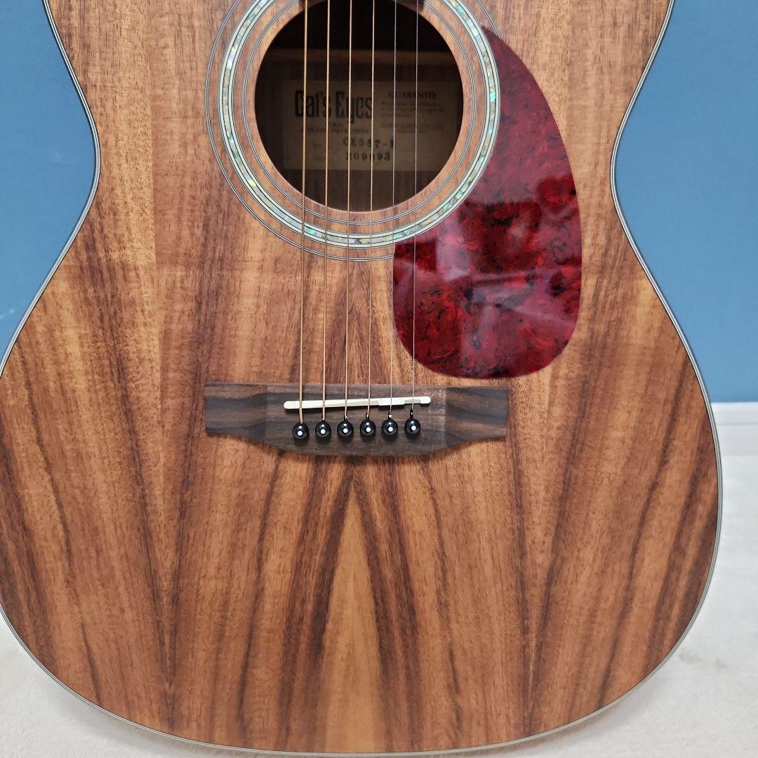 【未使用品】 キャッツアイ アコースティック・ギター カバー付き