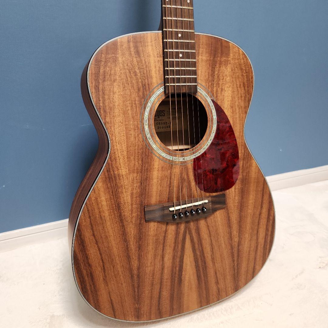 【未使用品】 キャッツアイ アコースティック・ギター カバー付き