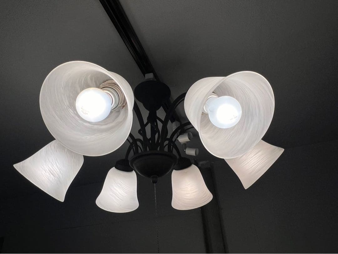 シャンデリア 天井照明 インテリア