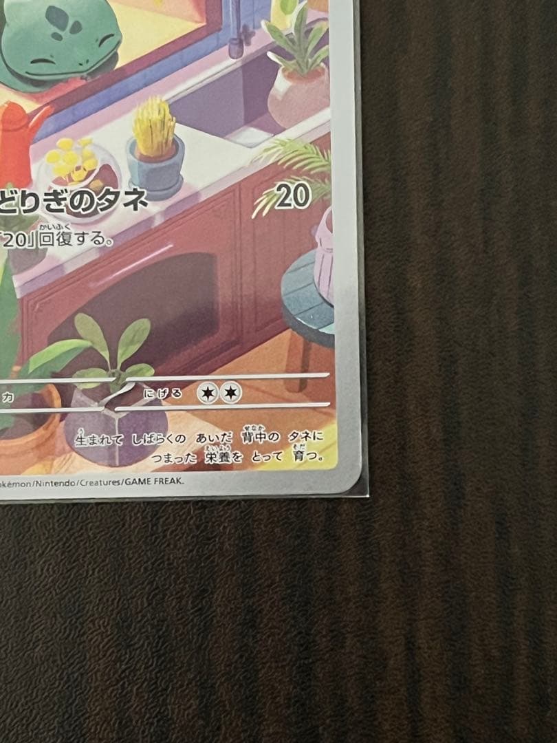 ゼニガメ　ヒトカゲ　フシギダネ　ar セット