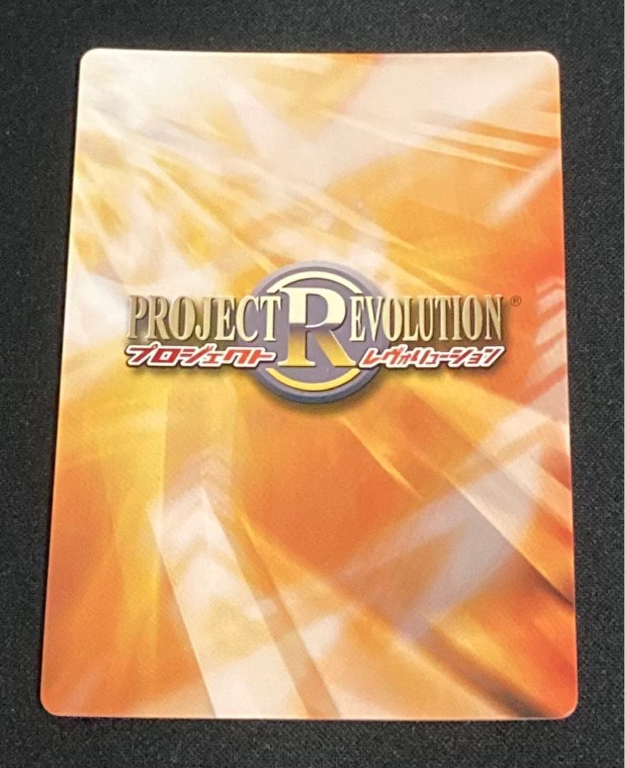 【匿名配送】PR「リナ＝インバース」