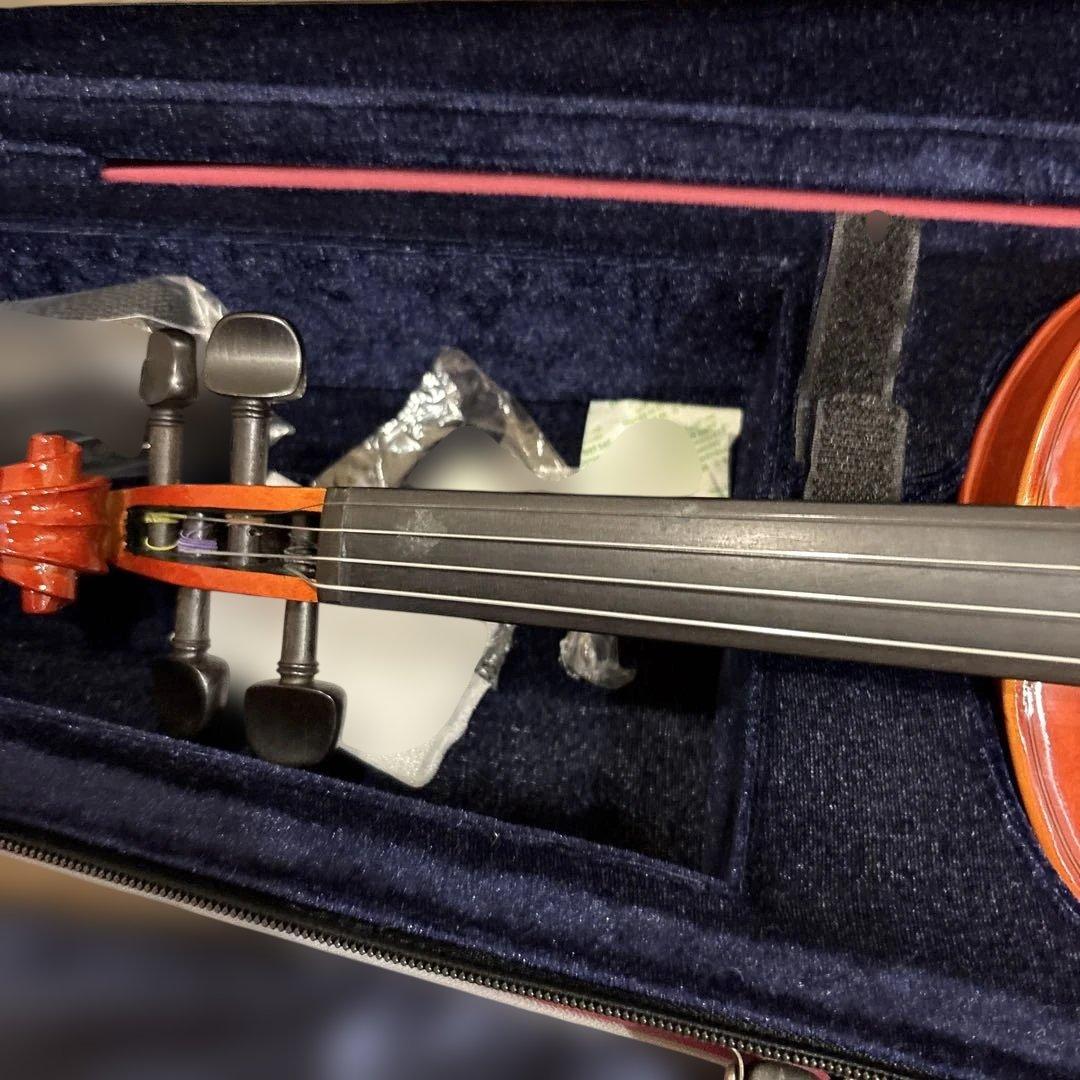 バイオリン　ステンター