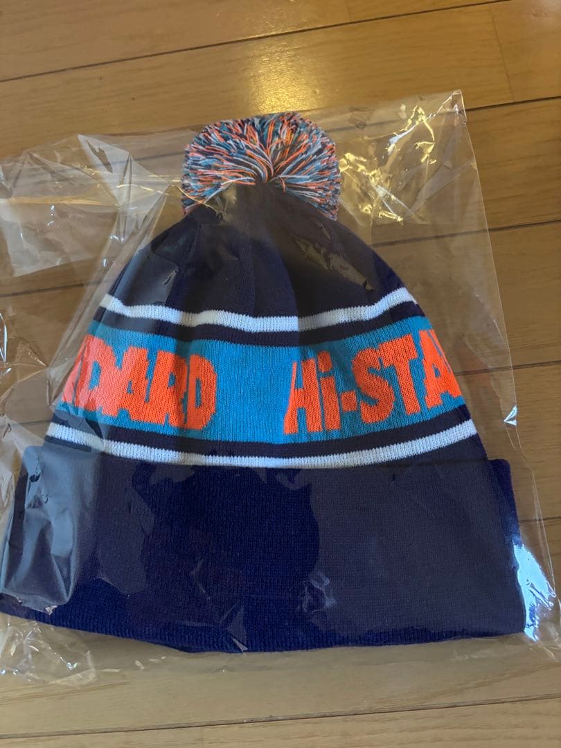 HI-STANDARD ニットキャップ　ハイスタ　KNIT CAP（NAVY）