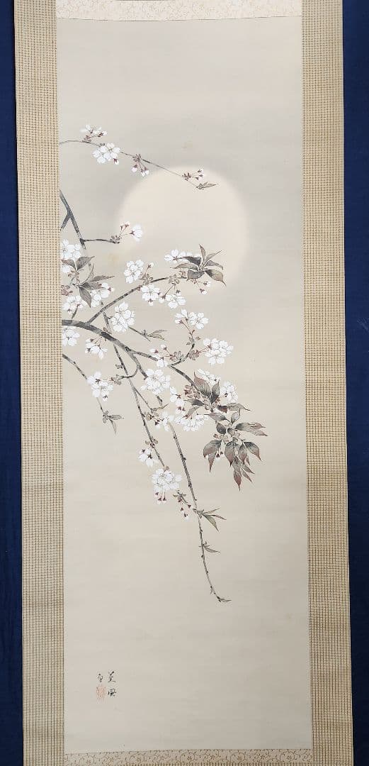 【夜桜図】本田蕉風 2703 川合玉堂門 共箱 掛け軸 肉筆
