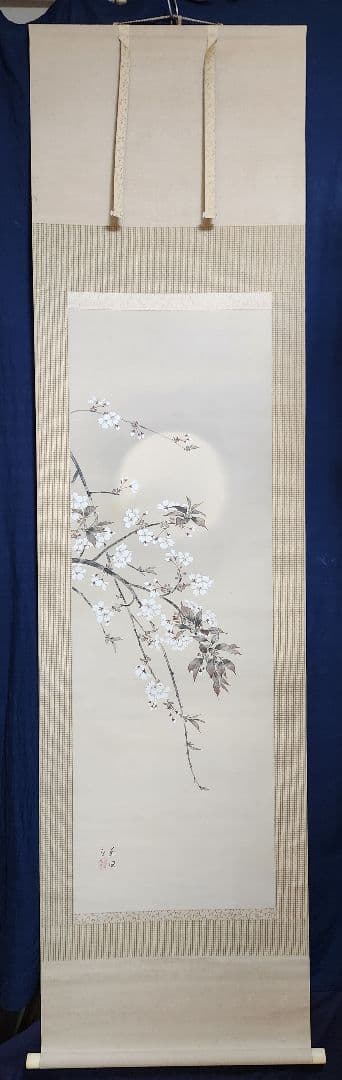 【夜桜図】本田蕉風 2703 川合玉堂門 共箱 掛け軸 肉筆