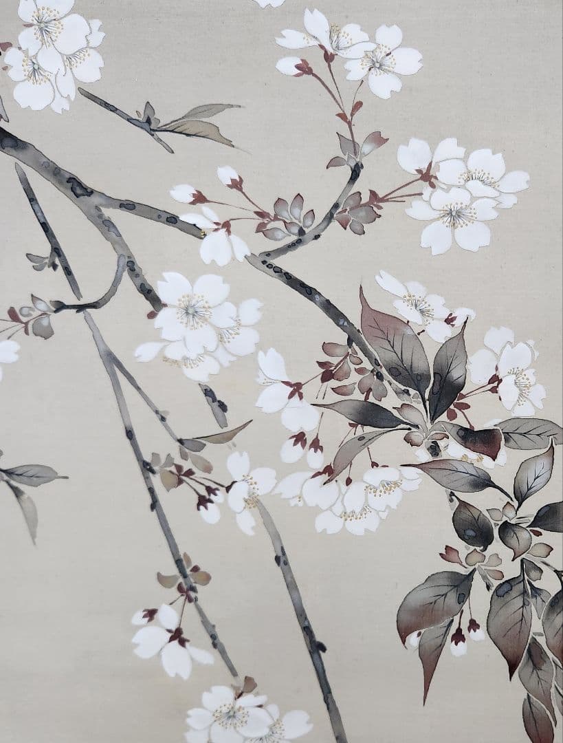 【夜桜図】本田蕉風 2703 川合玉堂門 共箱 掛け軸 肉筆