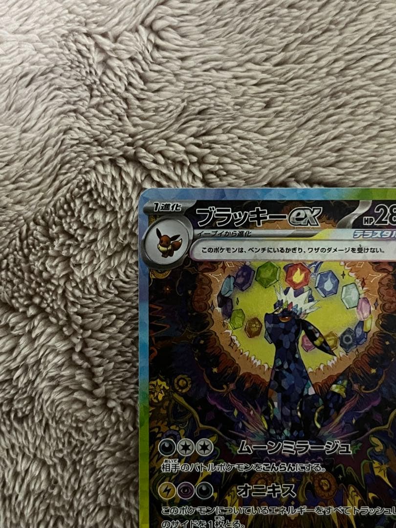 ブラッキーex SAR SV8a テラスタルフェス