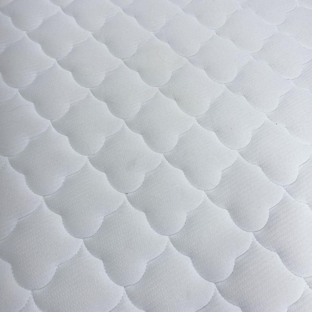 ムク　フレームのみ　3月3日配達