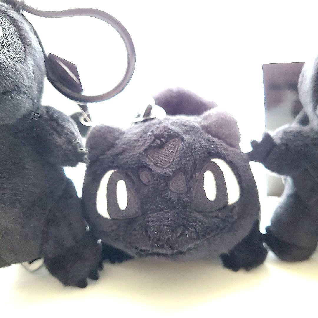 公式サイト購入 フラグメント ヒトカゲ フシギダネ ゼニガメ ポケモン