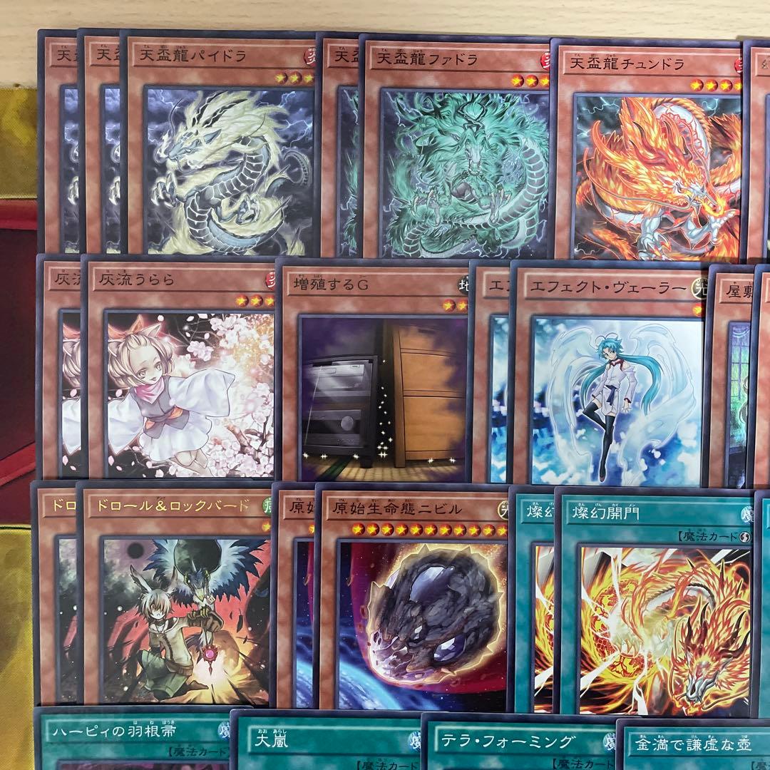 本格構築 天盃龍デッキ トライデントドラギオン パイドラ