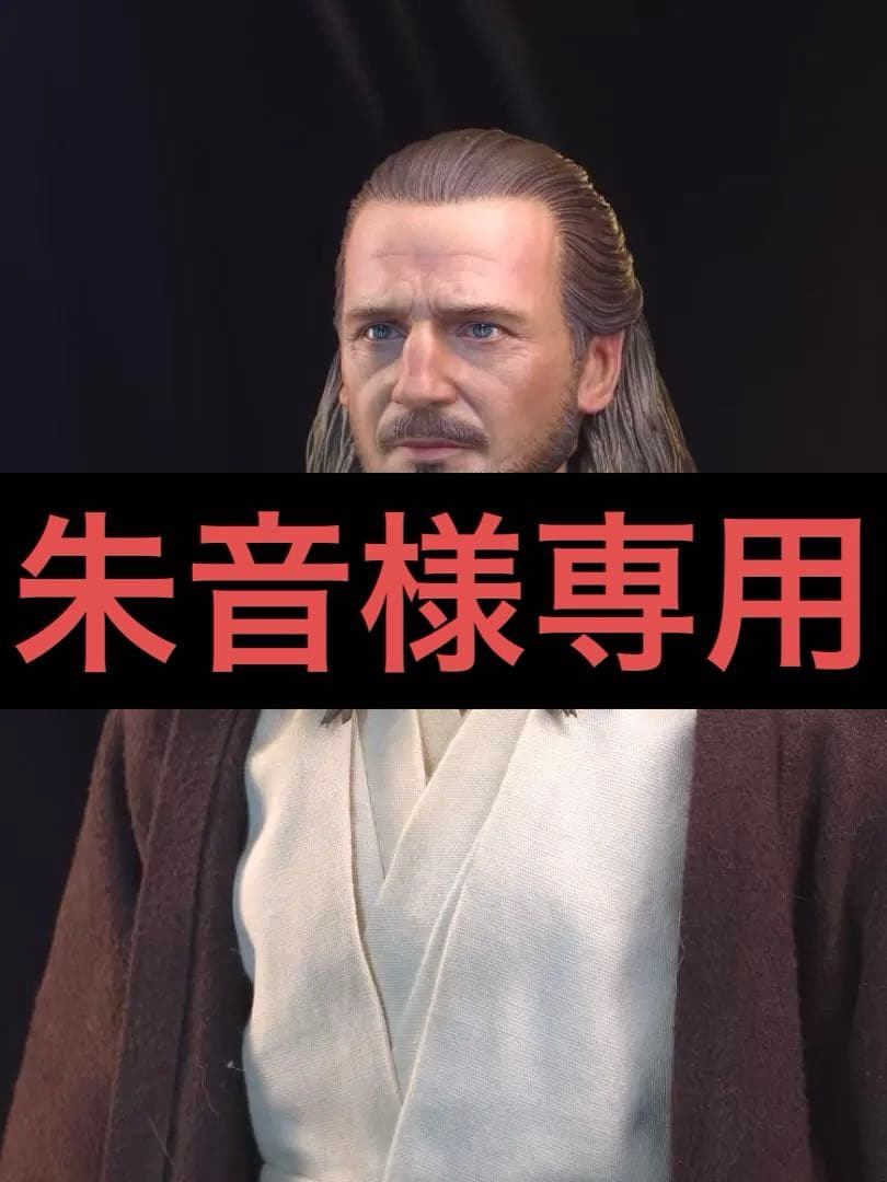 【世界限定10体】ホットトイズ スターウォーズ クワイガンジン カスタムヘッド版