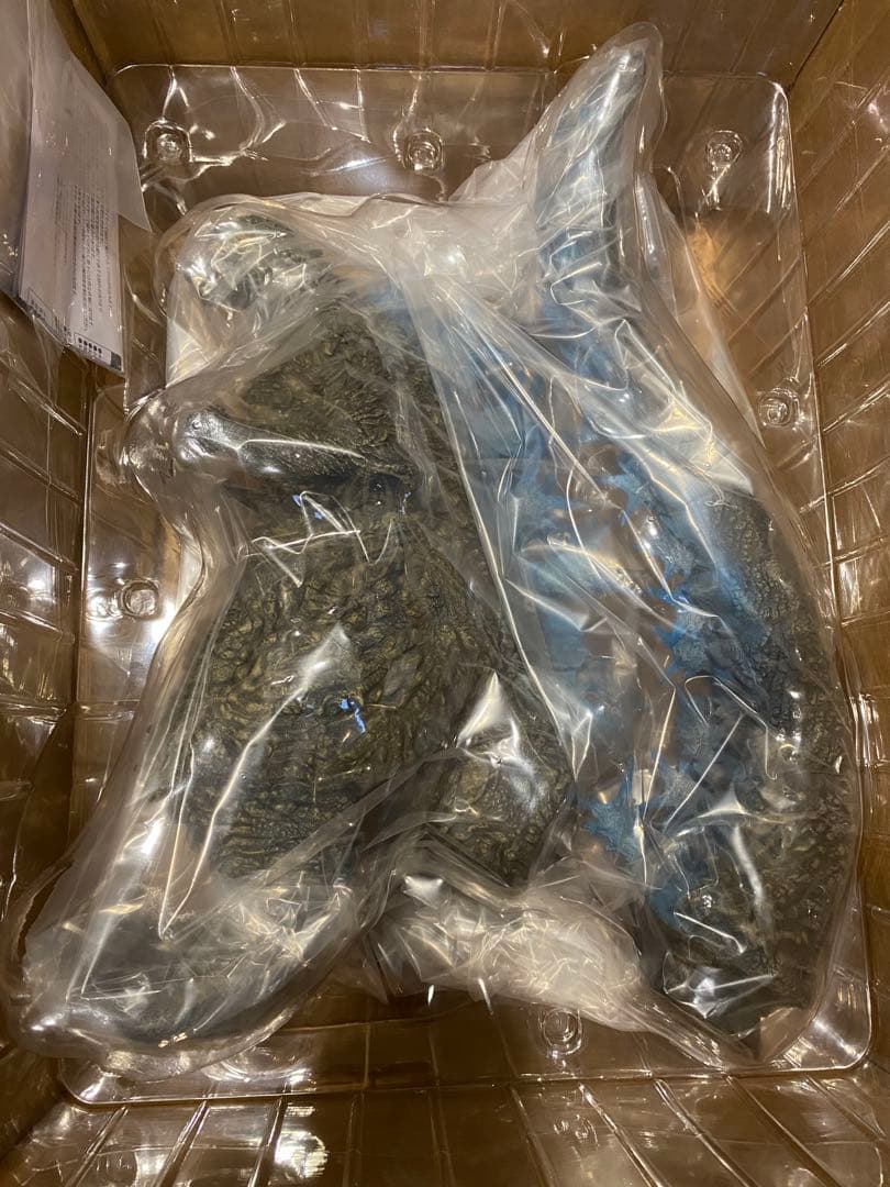 【少年リック限定版】東宝30cmシリーズ ゴジラ(2023) ゴジラ -1.0