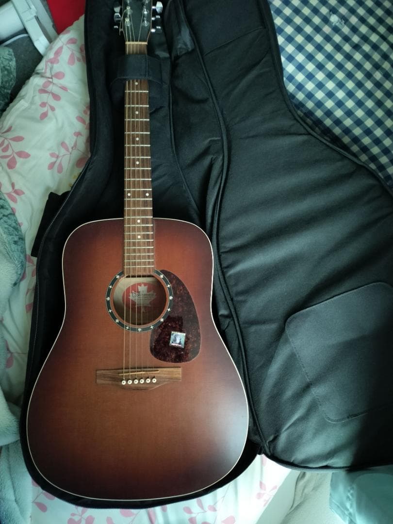 Norman b18 cedar アコースティックギター