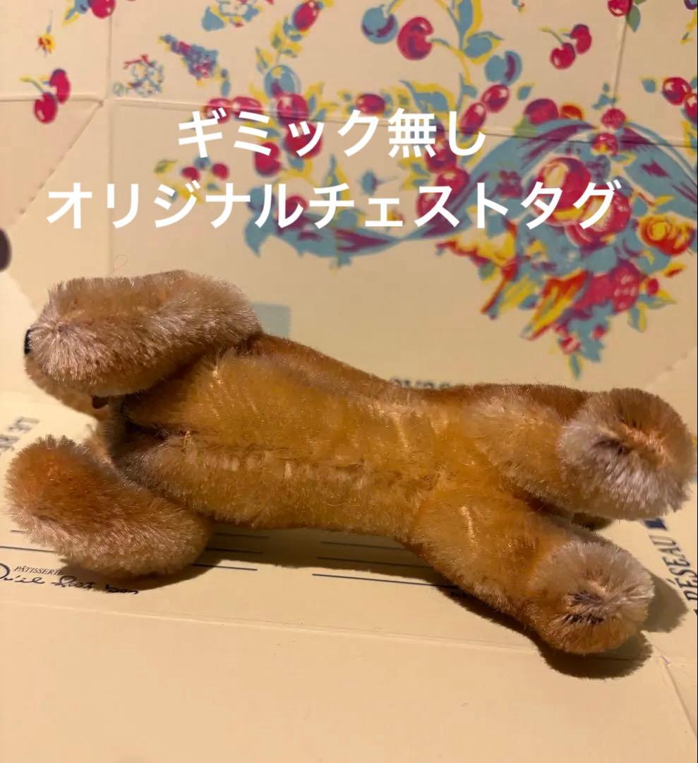 ベルリン購入　超美品シュタイフ 1950年代のダックスフンド　グラスアイ