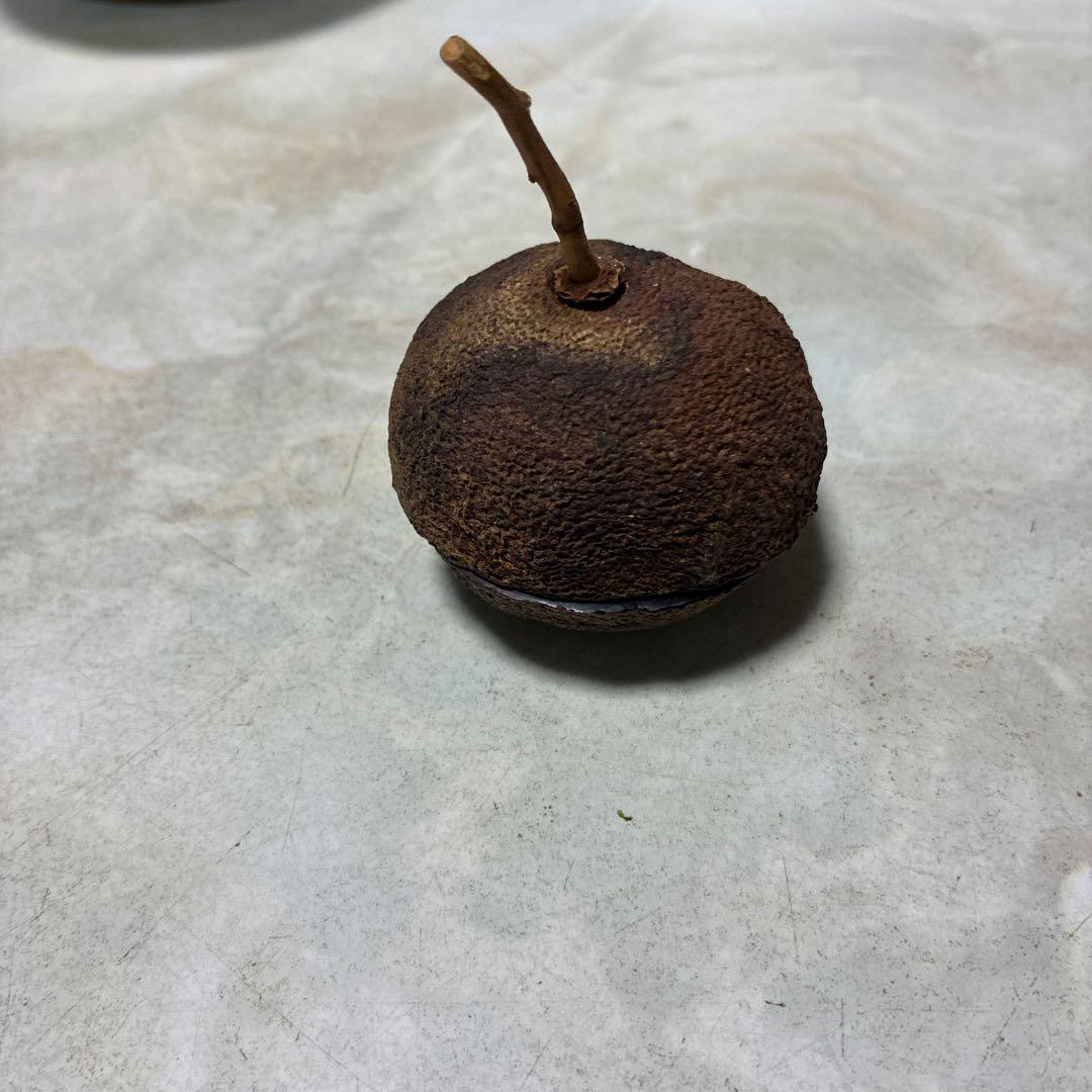 茶道具 黒色陶器 果実型