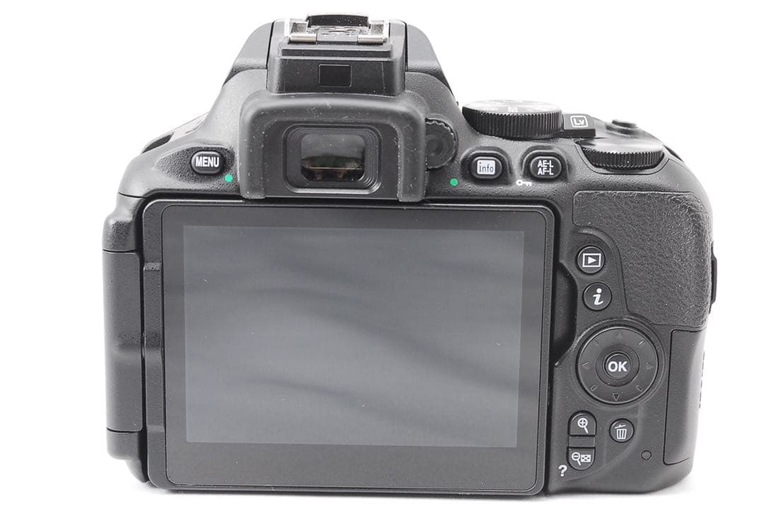 美品✨Nikon D5600 ダブルレンズ カメラバッグ付き✨S数1729回