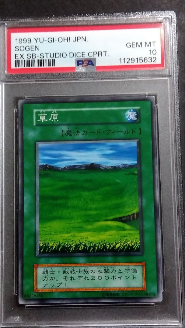 d*3様 【PSA10】「草原」初期 スタジオダイス版