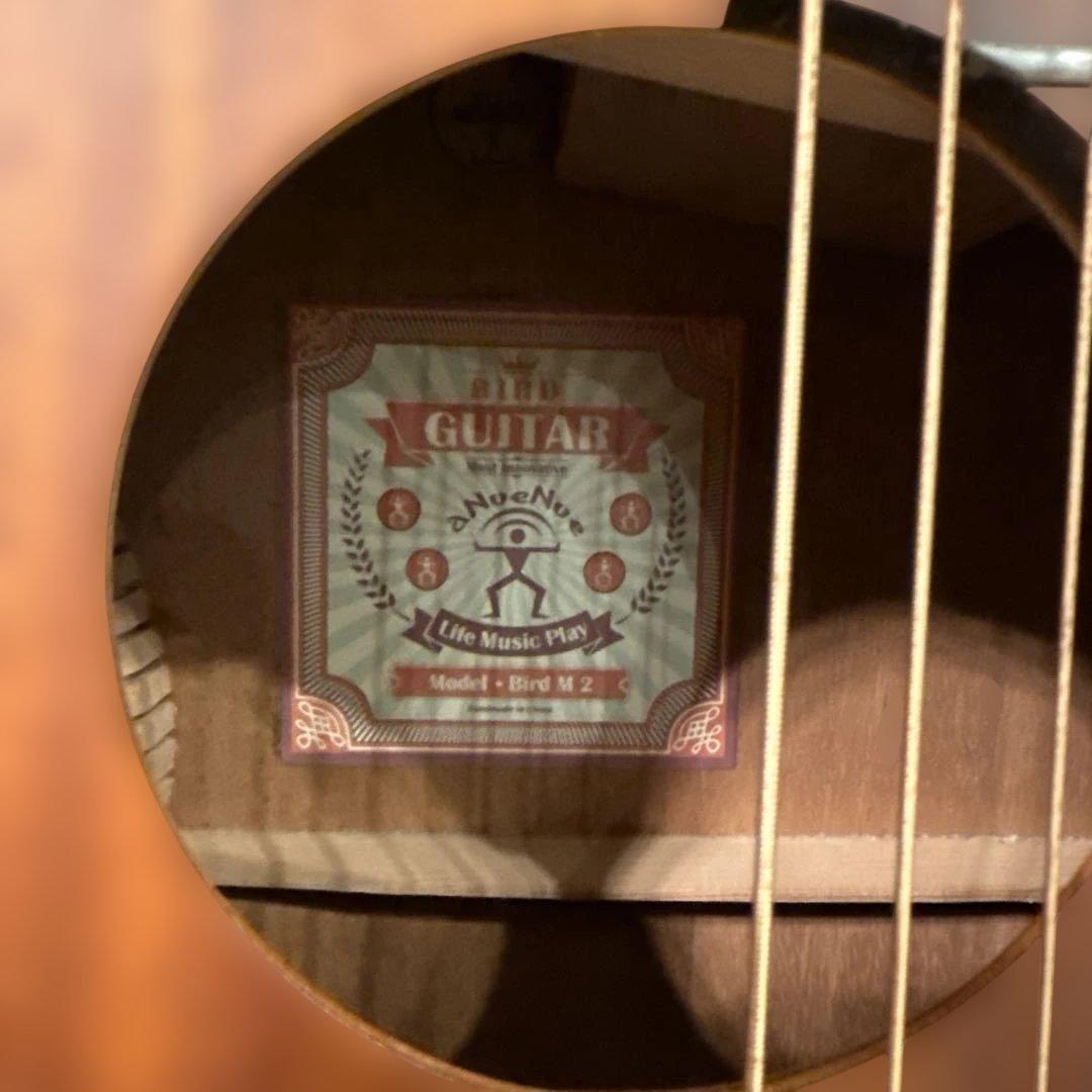 anuenue bird guitar ann－m2