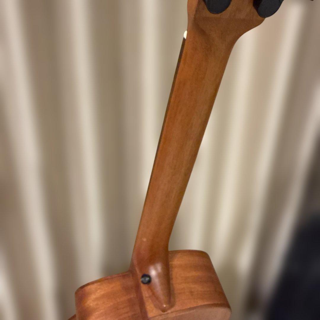 anuenue bird guitar ann－m2