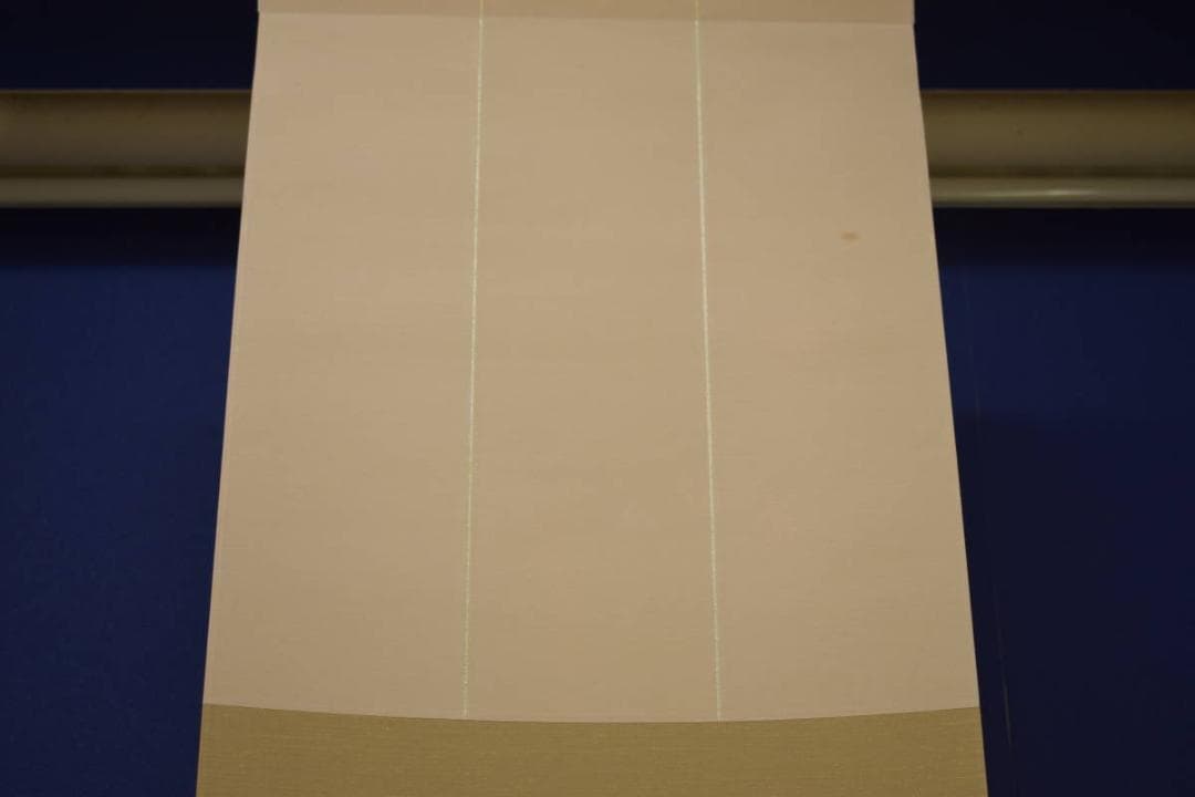 真作/山部朴朗/朴山人/青龍起雲図/雲龍図/桐共箱付/布袋屋掛軸HI-681