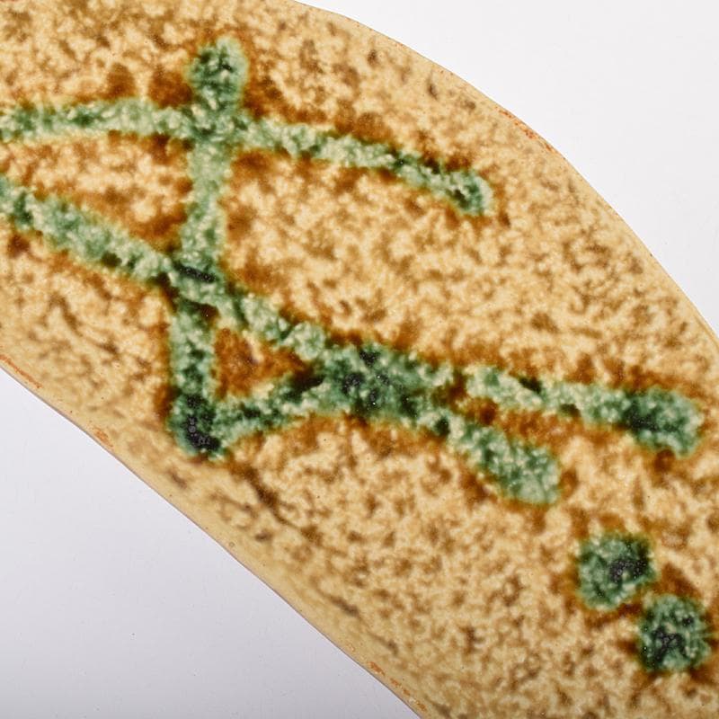 和食器　瀬戸焼　赤津焼　愛陶造　絵変わり　半月皿揃　五客　共箱　V　R7708