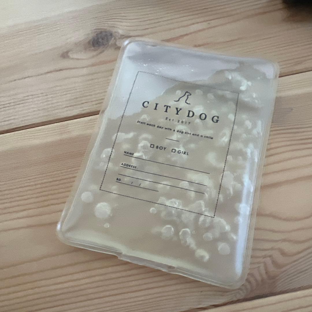 美品citydogシティドッグ/ライトメッシュキャリーSブラック