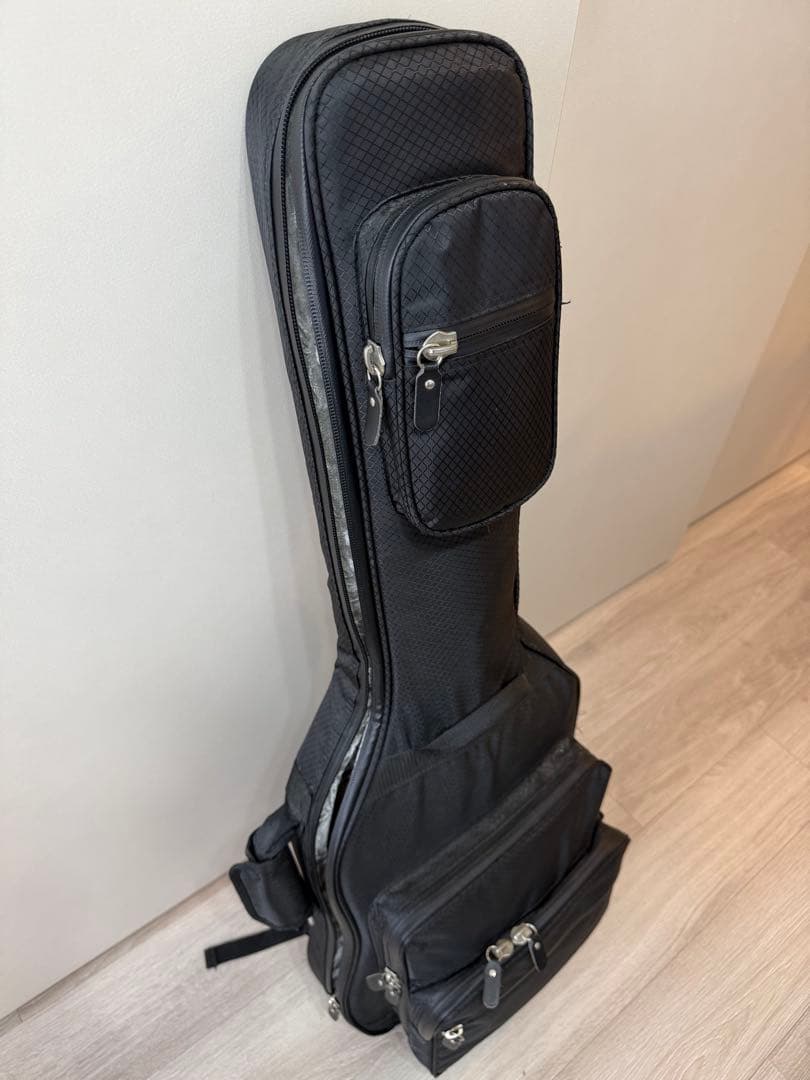 【ジャンク品】シェクターヘルレイザー 6弦 (手渡しのみ)