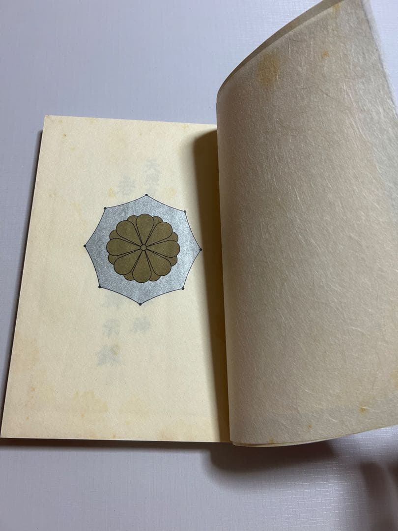 天照皇大御神司命神 岩長姫命神示録