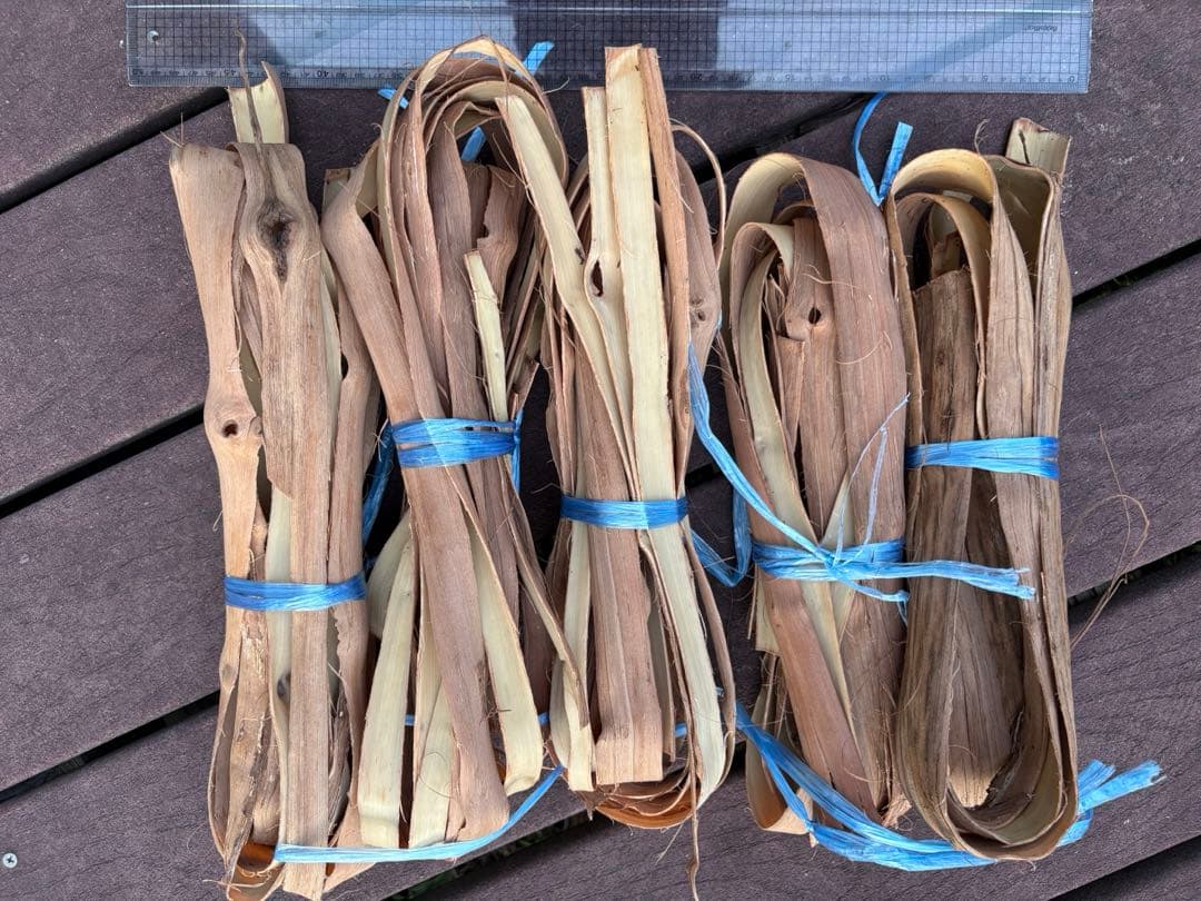 岩手県産山葡萄　樹皮　S級　ラスト１点