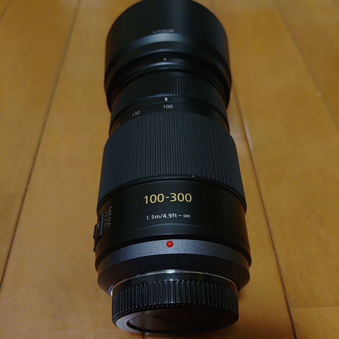 Panasonic　LUMIX　H-FS100300ズームレンズ