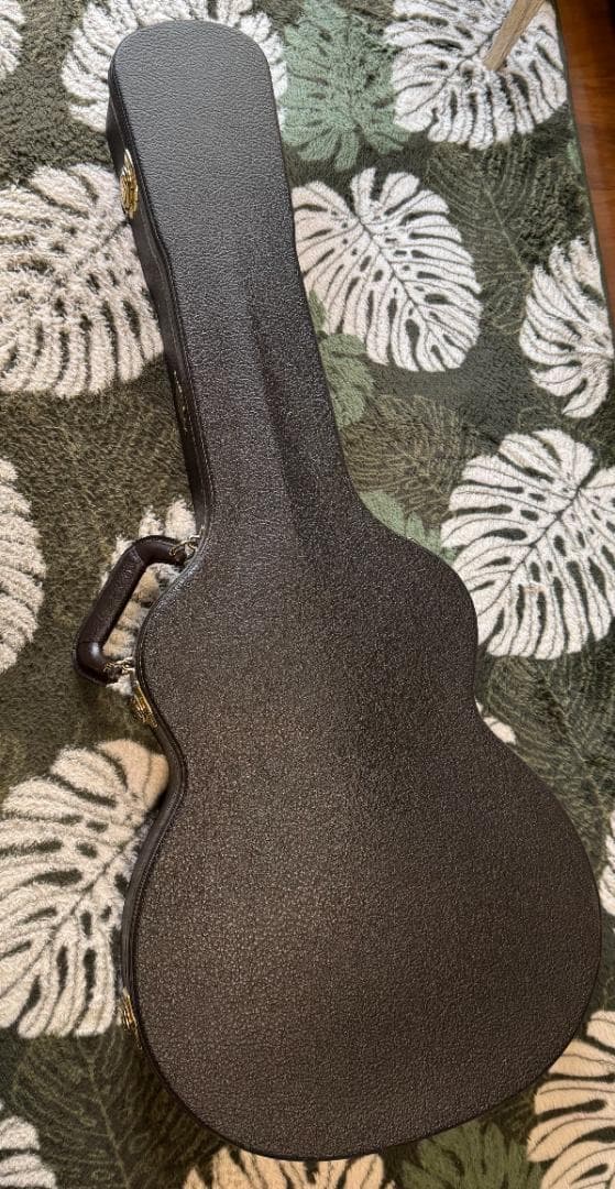 Taylor エレアコ T5 Pro TB