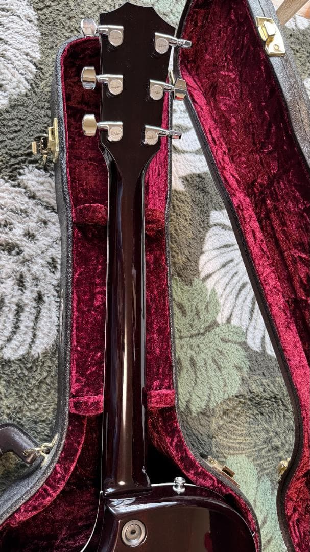 Taylor エレアコ T5 Pro TB