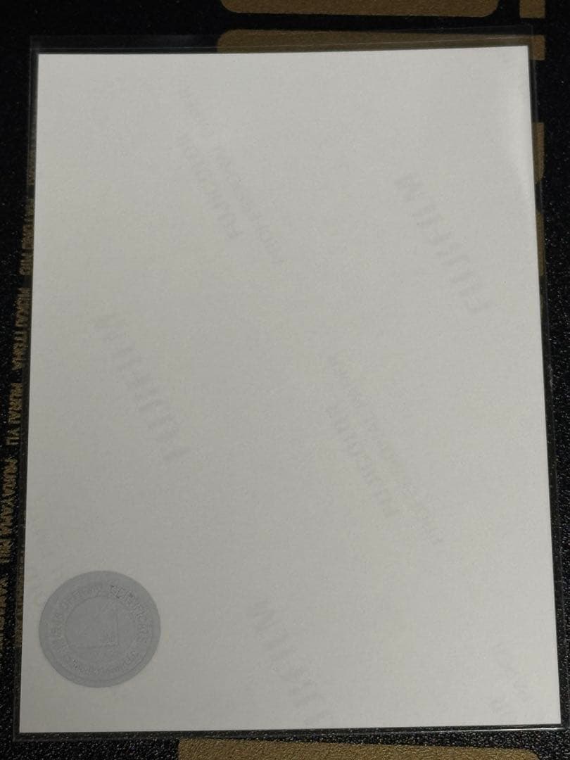 【最終値下】櫻坂46 田村保乃　直筆サイン2024年クリスマスサンタ衣装　チュウ