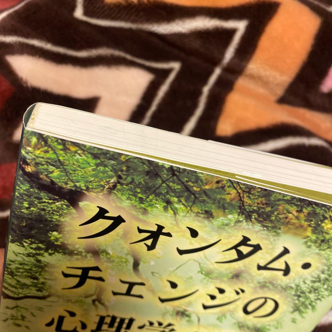 クォンタム・チェンジの心理学 急激に起こる人生・人格の変化