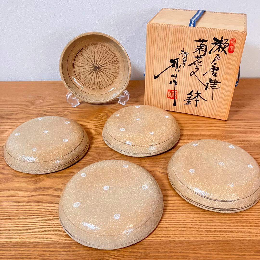瀬戸唐津　菊花文　鉢　5枚
