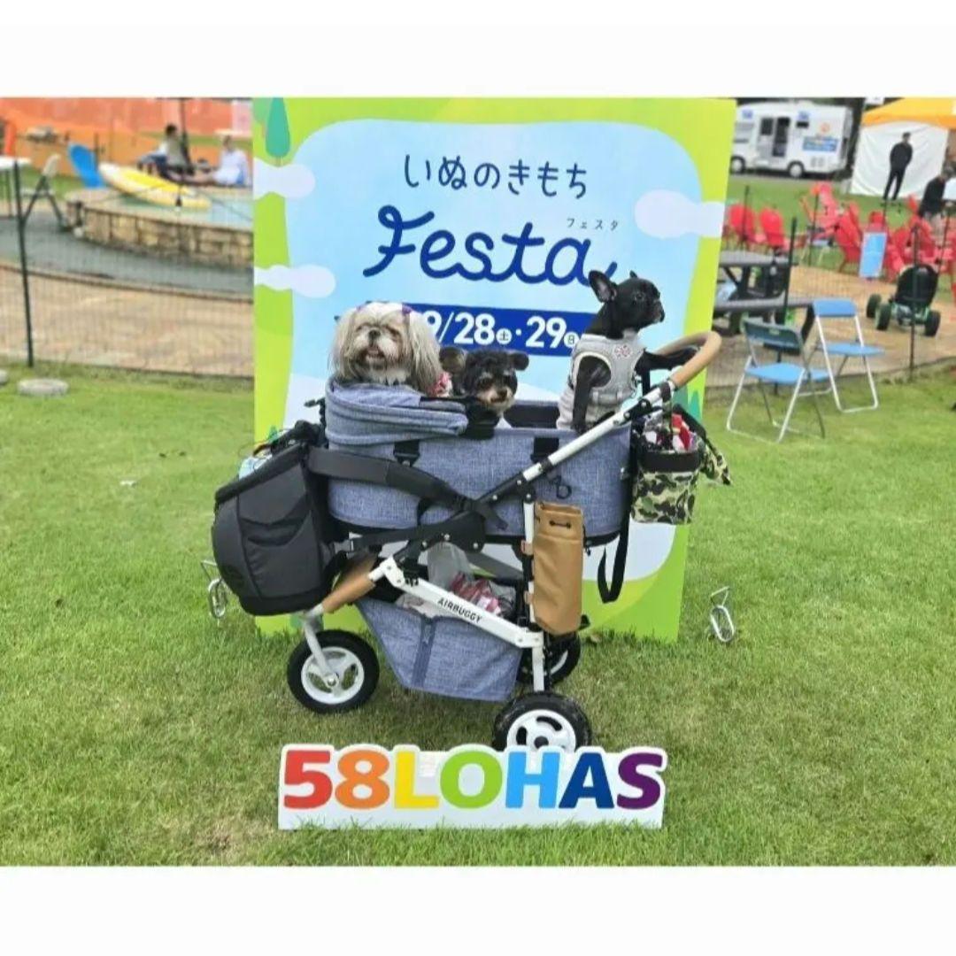 週末限定値下げ❗エアバギー ドーム3 ラージサイズ