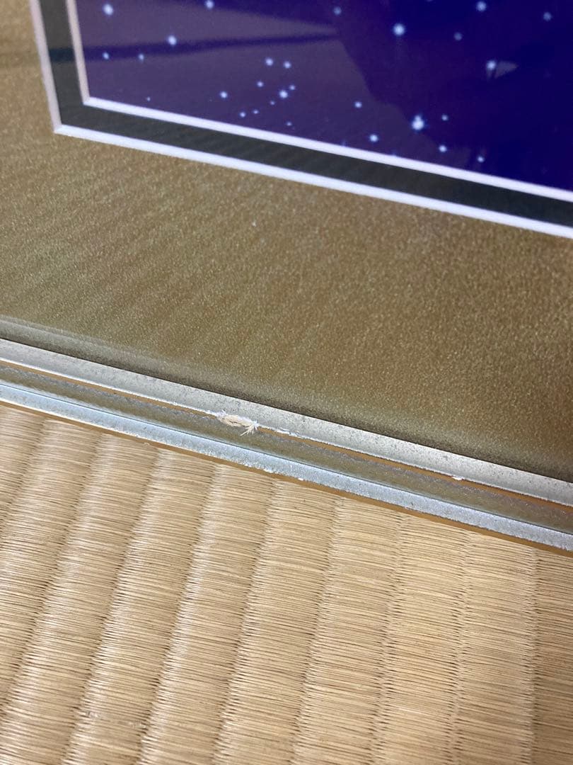 生命の木　絵画