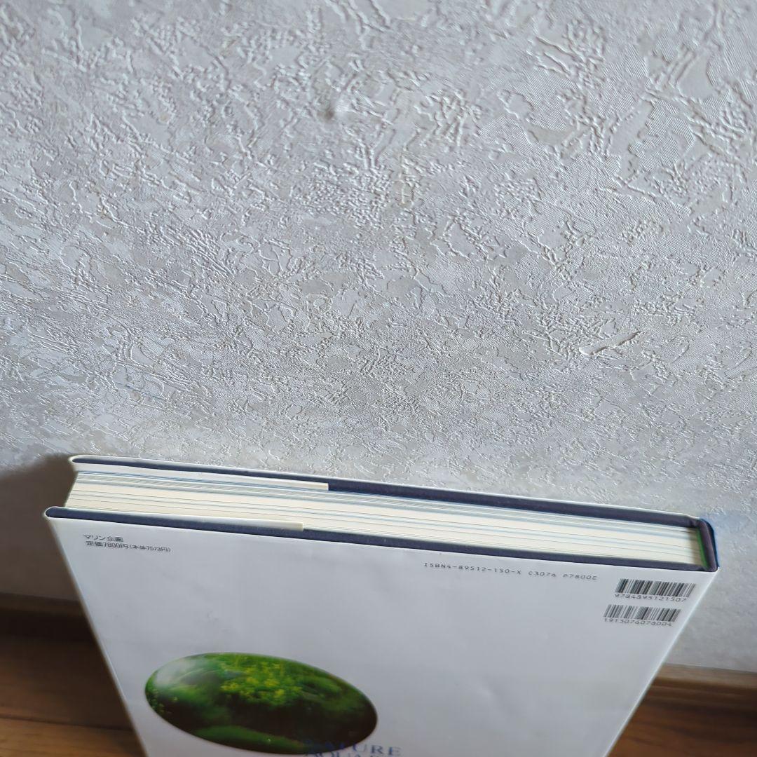 NATURE AQUARIUM WORLD 天野尚 水-自然への回帰