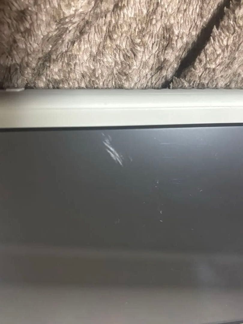 Nintendo Switch Lite ザシアン・ザマゼンダ　本体 充電器