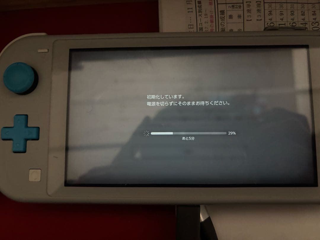 Nintendo Switch Lite ザシアン・ザマゼンダ　本体 充電器