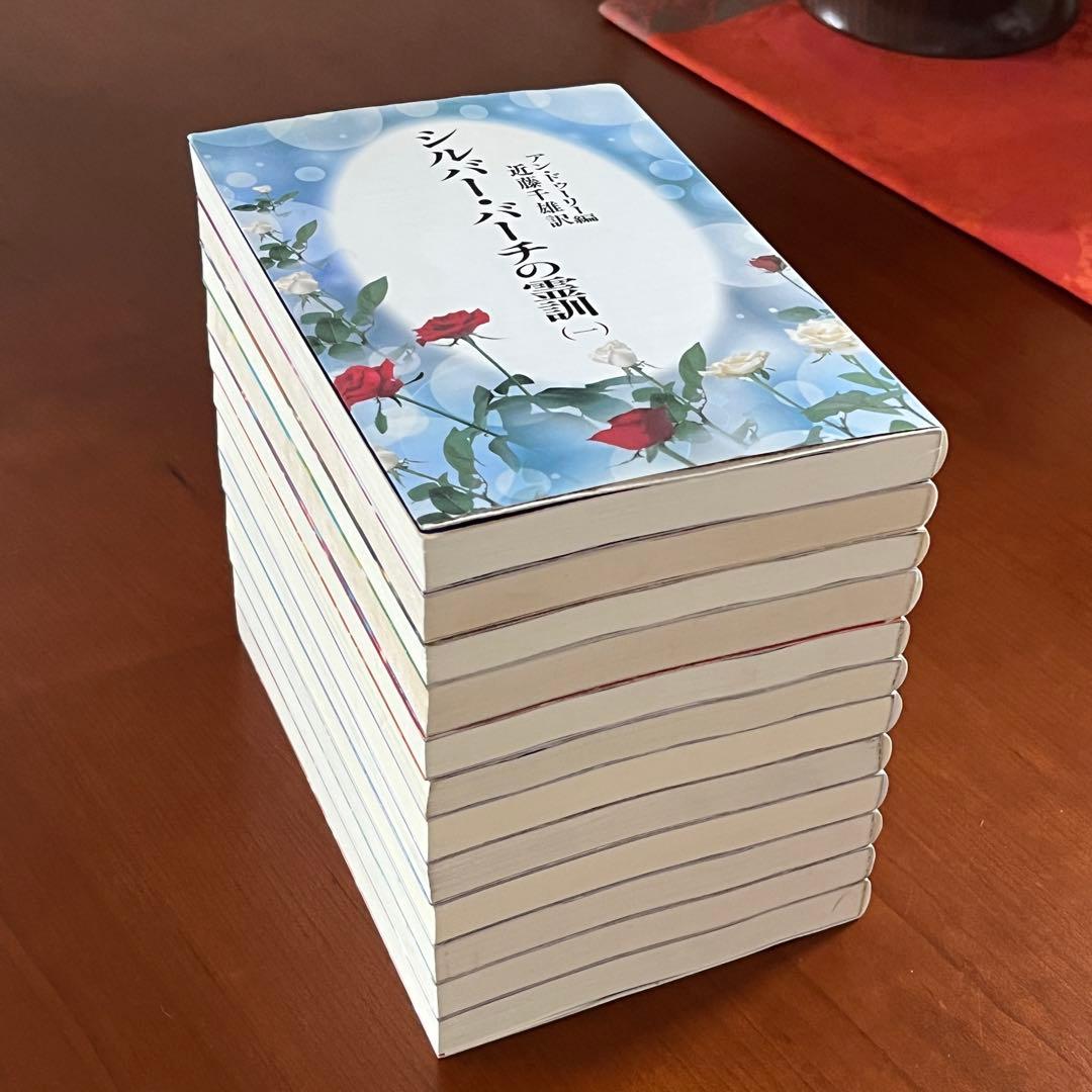 シルバー・バーチの霊訓　全巻　レムリアンシード　クリスタル 水晶 原石