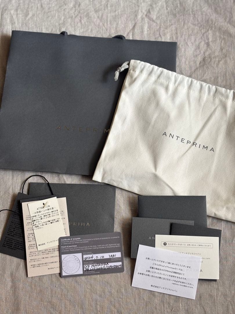 【ANTEPRIMA】ワイヤーバッグ ミニアトゥーラ シルバーゴールド