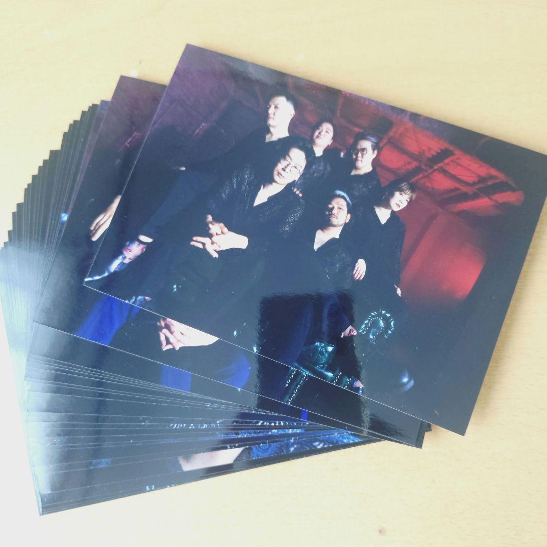 Zidol「maddy muddy」ブロマイド 全24種コンプリート版