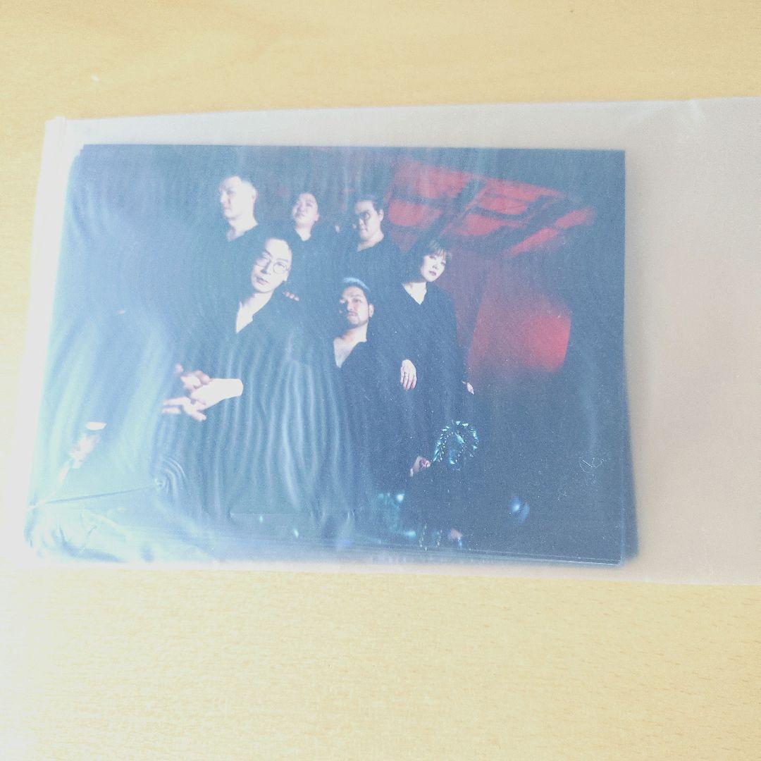 Zidol「maddy muddy」ブロマイド 全24種コンプリート版