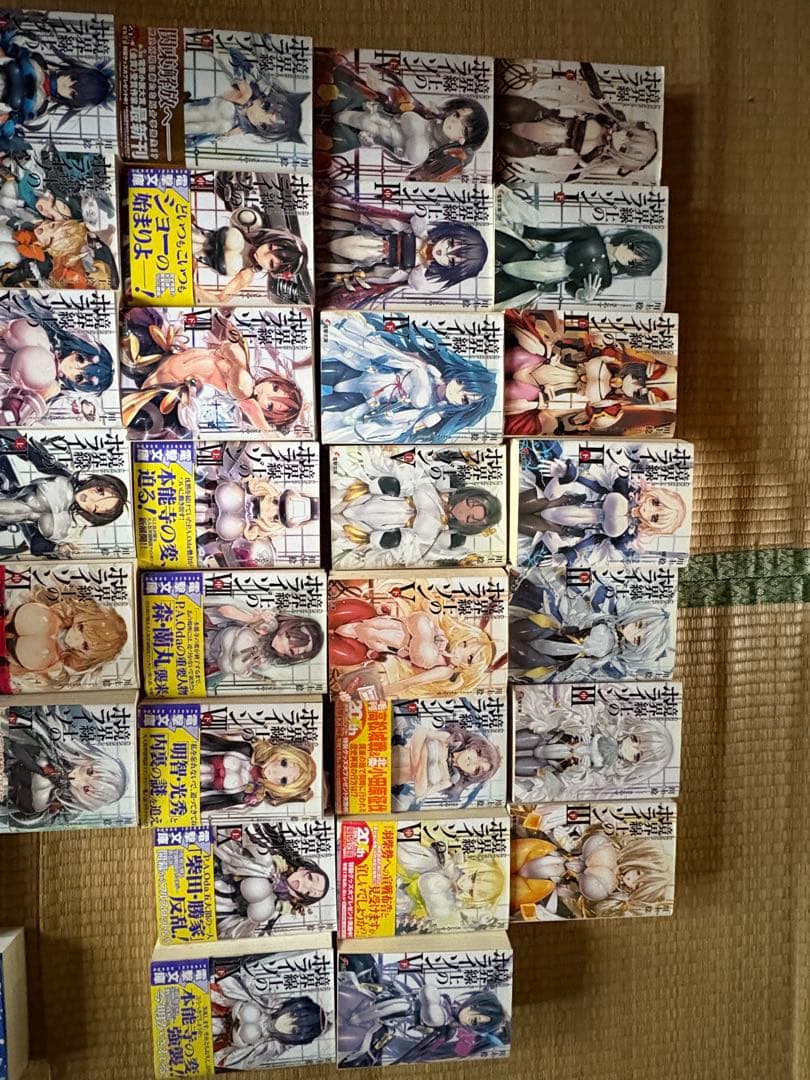 【調整可能】境界線上のホライゾン本編全巻+その他川上稔作品複数