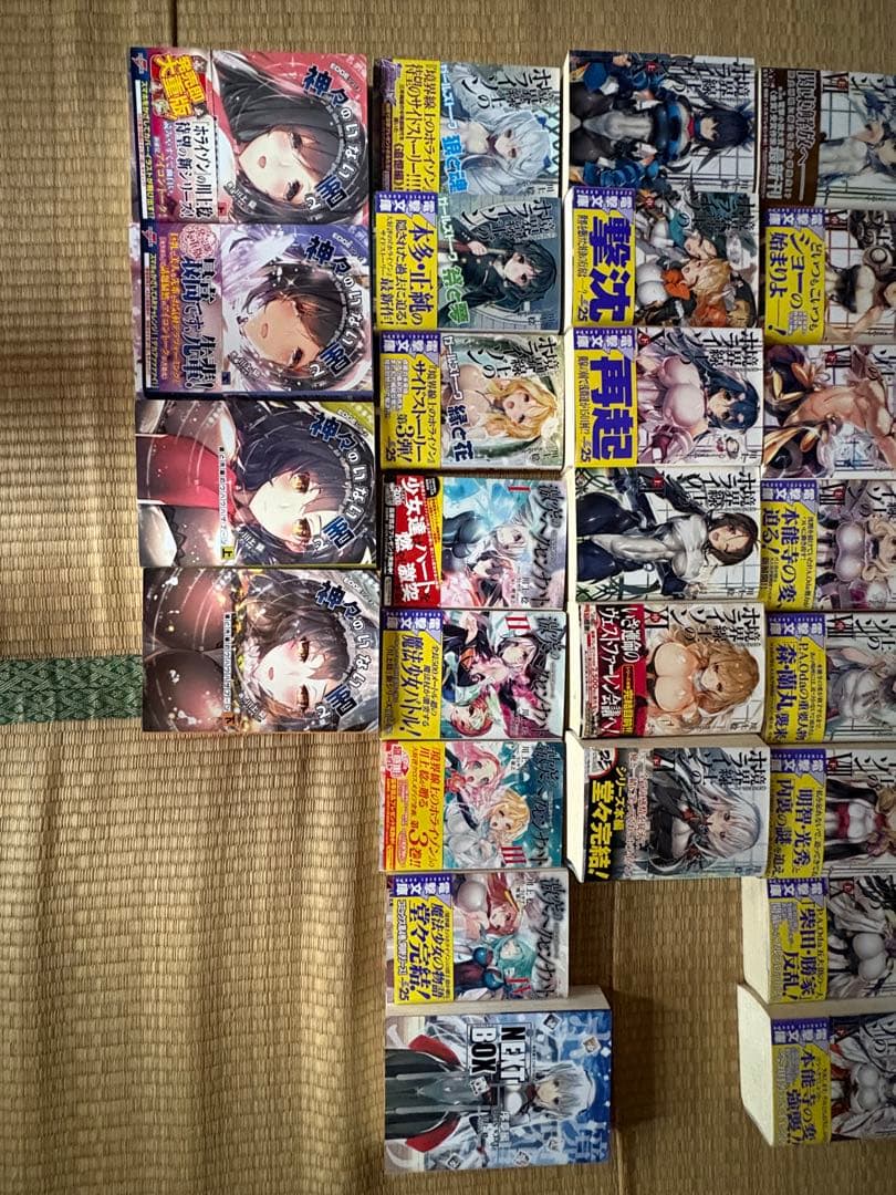 【調整可能】境界線上のホライゾン本編全巻+その他川上稔作品複数