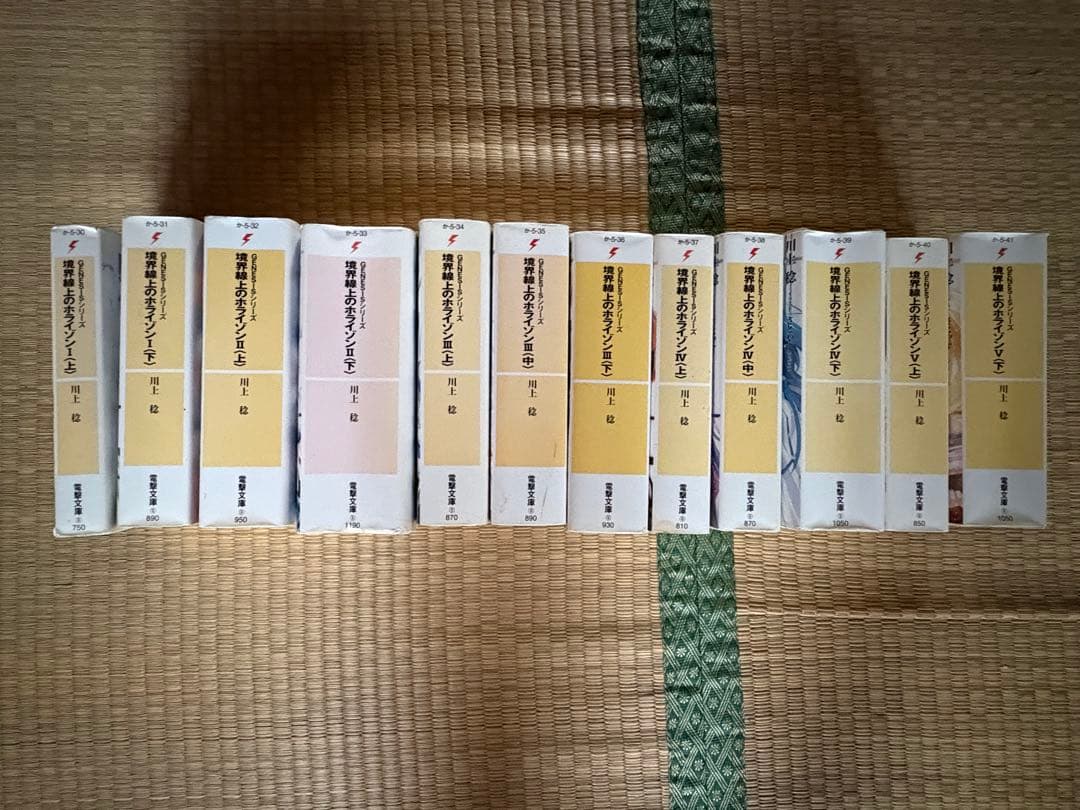 【調整可能】境界線上のホライゾン本編全巻+その他川上稔作品複数